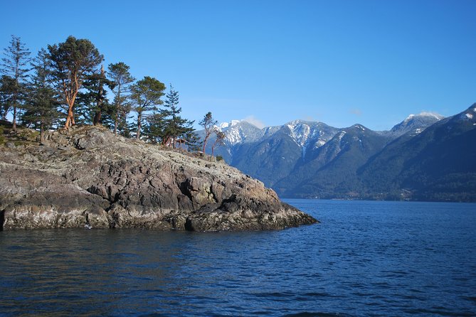 Scuba Dive Boat Charter in Vancouver (Certified Divers Only!) - Two underwater settings in one outing