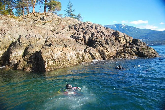 Scuba Dive Boat Charter in Vancouver (Certified Divers Only!) - Who should book this outing