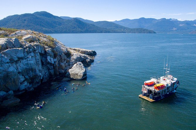 Scuba Dive Boat Charter in Vancouver (Certified Divers Only!) - Arriving at Horseshoe Bay at 8:30 a.m.