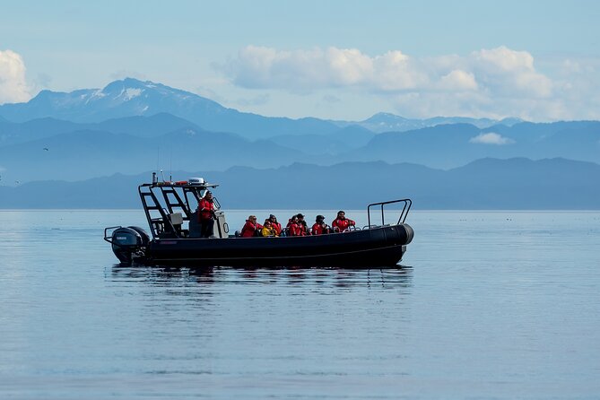 Sea Otter and Whale Watching Tour on Northern Vancouver Island - Lunch, hot drinks, and dietary requests