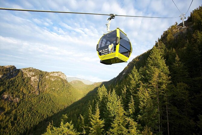 Sea to Sky Gondola Ticket - Key Points Before You Go