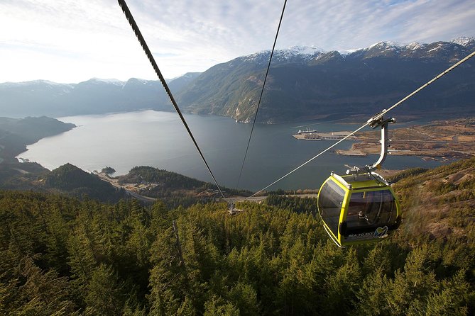 Sea to Sky Gondola Ticket - Trails, Platforms, and the Sky Pilot Bridge