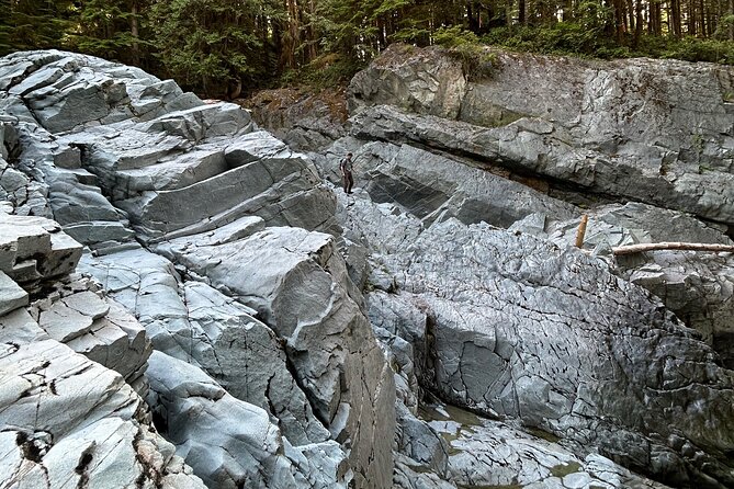 Shannon fall, Quercus Point and Squamish city Private tour - Who should book this Squamish day trip