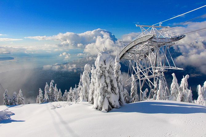 Small Group Tour: Capilano Suspension Bridge and Grouse Mountain from Vancouver - Grouse Mountain: wildlife, shows, and the ride uphill