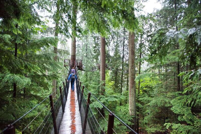 Small group tour of Capilano Bridge & Grouse Mountain - A compact route into Vancouver’s North Shore