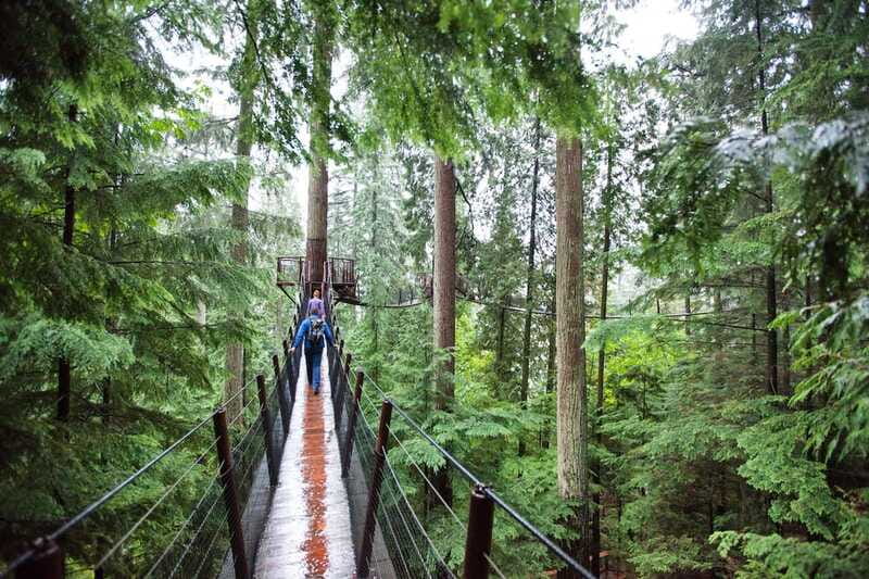 Small group tour of Capilano Bridge & Grouse Mountain - Weather, clothing, and pacing