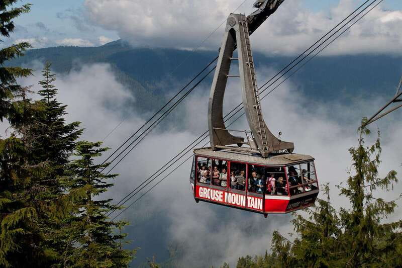 Small group tour of Capilano Bridge & Grouse Mountain - Grouse Mountain: bears, shows, and changing views