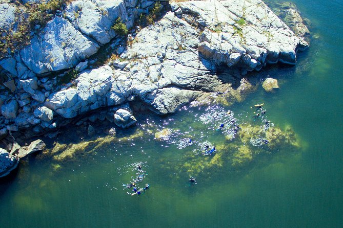 Snorkel, Kayak, and Seal Adventure: Vancouver Boat Tour - From Horseshoe Bay into Howe Sound