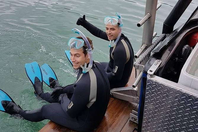 Snorkel, Kayak, and Seal Adventure: Vancouver Boat Tour - Guides, safety, and the small-group feel