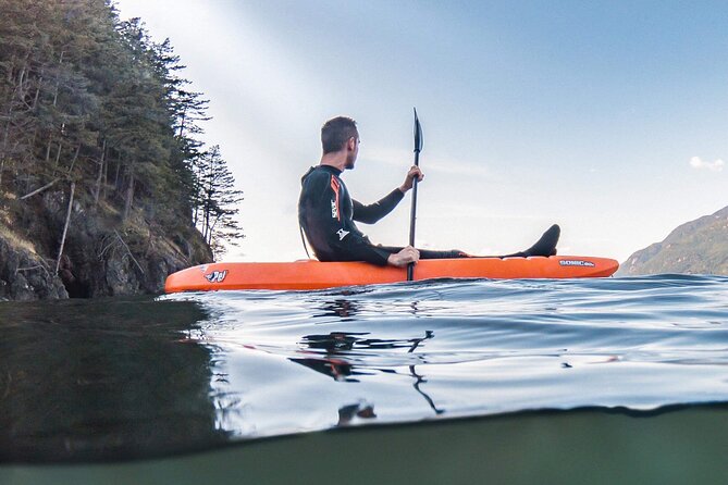 Snorkel, Kayak, and Seal Adventure: Vancouver Boat Tour - Is the $105.10 price good value?