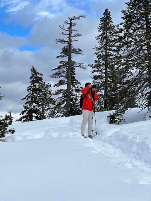 Snowshoeing At The Top Of The Sea To Sky Gondola - Booking flexibility and practical limits