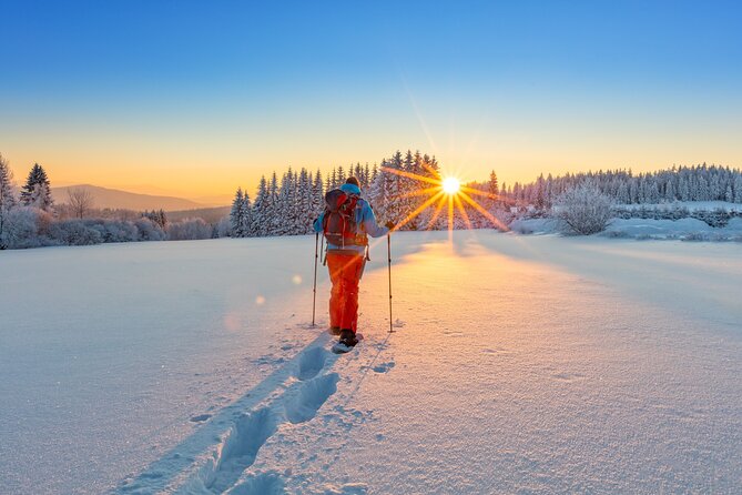Snowshoeing At The Top Of The Sea To Sky Gondola - From Vancouver to Squamish by the Sea to Sky route