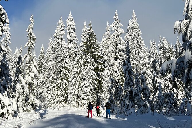 Snowshoeing At The Top Of The Sea To Sky Gondola - A short bridge, then the snowshoe trails