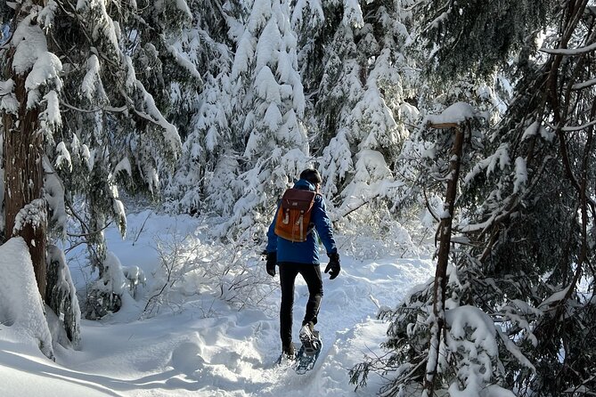 Snowshoeing At The Top Of The Sea To Sky Gondola - Why the small group improves the experience