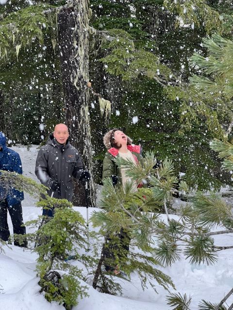 Snowshoeing At The Top Of The Sea To Sky Gondola - The best fit for active visitors from Vancouver