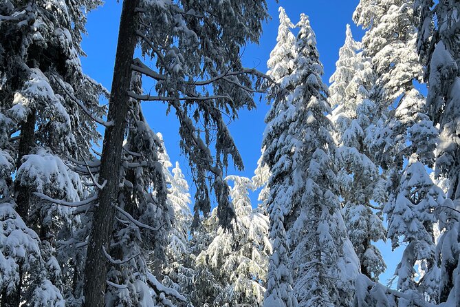 Snowshoeing In Vancouver's Winter Wonderland - Adrian and the small-group advantage
