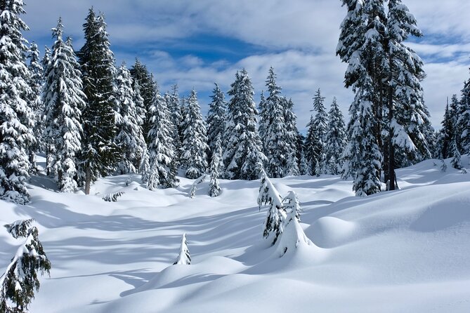 Snowshoeing In Vancouver's Winter Wonderland - Is $119.72 a fair price?