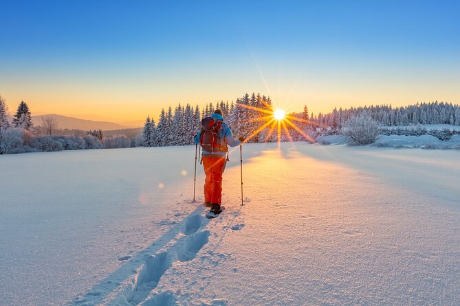 Snowshoeing In Vancouver's Winter Wonderland - Weather, timing, and practical limits