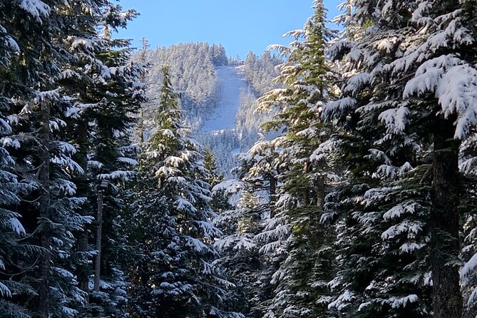 Snowshoeing In Vancouver's Winter Wonderland - Who will enjoy this most?