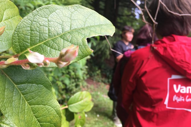 Spoken Treasures: Stanley Park Indigenous Walking Tour - Finishing at the Stanley Park Totem Poles