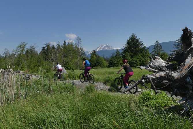 Squamish Discovery Eco-tour - Local Stories From Brent and Christian