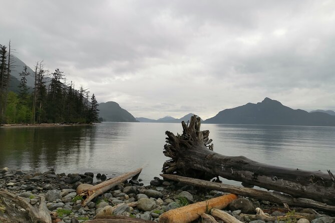 Squamish Howe Sound Explorer Private Tour - A salmon hatchery brings the day back to local ecology
