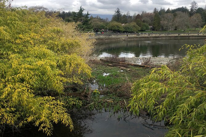 Stanley Park Bike Adventure with Lux Car Pick Up Affordable Easy - Sculptures that reward a slower pace