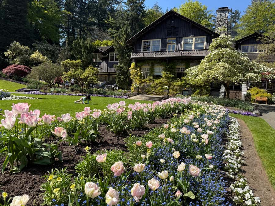 Stanley Park CarTour:SmallGroup/Comfort&CheaperThan BikeTour - Port views, lighthouse, and park statues
