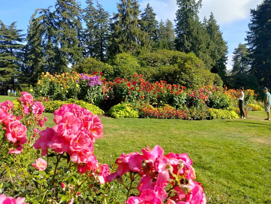 Stanley Park CarTour:SmallGroup/Comfort&CheaperThan BikeTour - What the small-group format changes