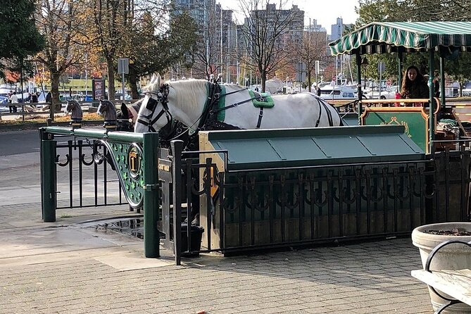 Stanley Park Horse Drawn Tour in Vancouver - The totem poles stop: useful, but brief