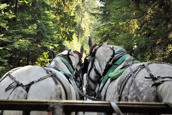 Stanley Park Horse Drawn Tour in Vancouver - Park Drive, the Seawall, and the first views