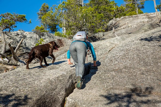 Stawamus Chief Hike & Local Brewery Tasting - Why the Chief makes a good Vancouver day trip