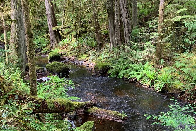 Sunshine Coast Escape (Around Vancouver) Small Group Tour - Gibsons and the story behind Molly’s Reach