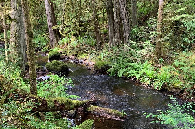 Sunshine Coast Escape (Around Vancouver) Small Group Tour - Smuggler Cove is the day’s main walk