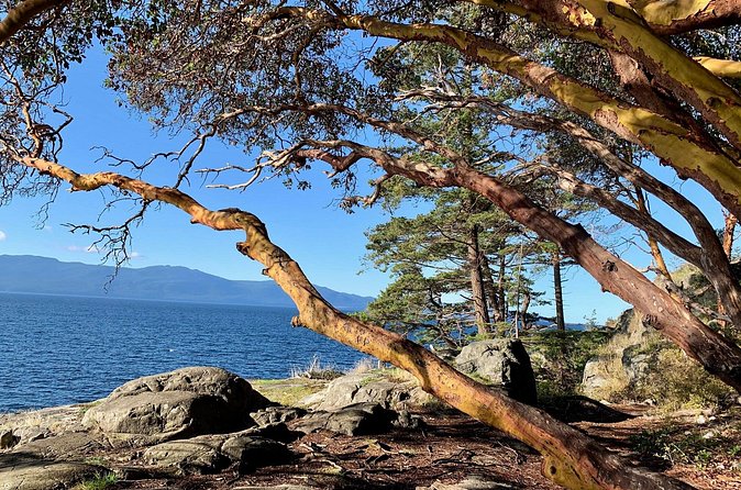 Sunshine Coast Escape (Around Vancouver) Small Group Tour - Driving, group size, and the ferry connection