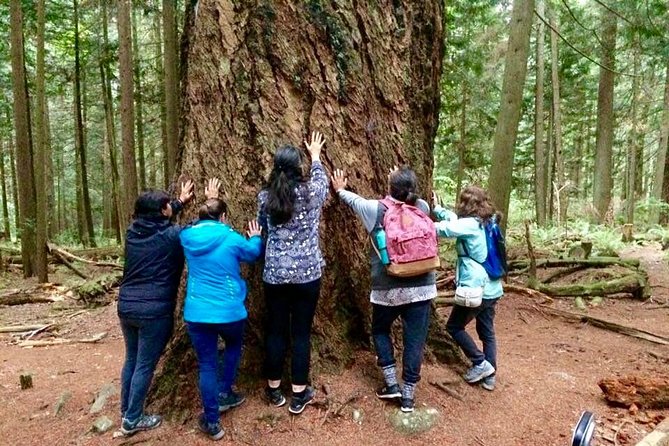 Talking Trees: Stanley Park Indigenous Walking Tour Led by a First Nations Guide - Group Size, Guide Style, and What You Will Actually Get