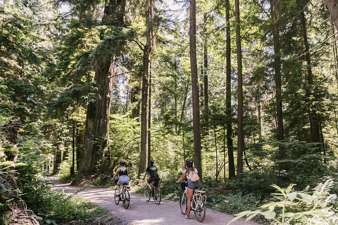 The Stanley Park Bicycle Tour by Cycle City Tours - The Seawall Gives You Vancouver’s Big Views