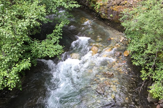 Unforgettable Whistler ( Full Day Private Tour) - Who should book this tour