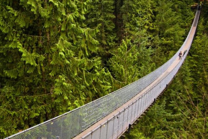 Vancouver 1-Day city tour - Capilano Suspension Bridge, the day’s big thrill