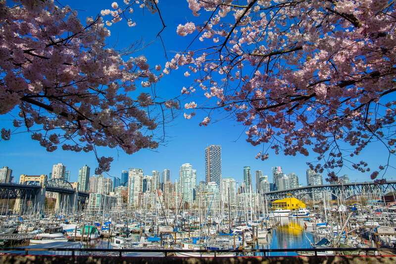 Vancouver: 24 or 48-Hour Hop-On Hop-Off Trolley Tour Pass - What this Vancouver trolley tour actually does well