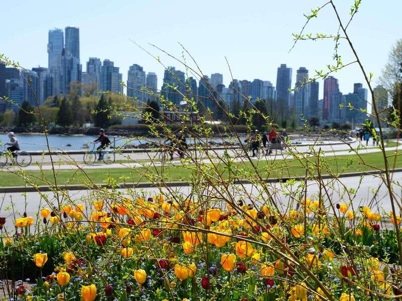 Vancouver: 24 or 48-Hour Hop-On Hop-Off Trolley Tour Pass - Downtown’s gallery, shopping, and entertainment districts