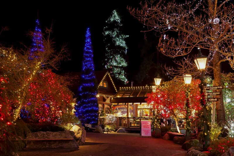 Vancouver and Capilano Suspension Bridge Canyon Lights - Is $130 a fair price?