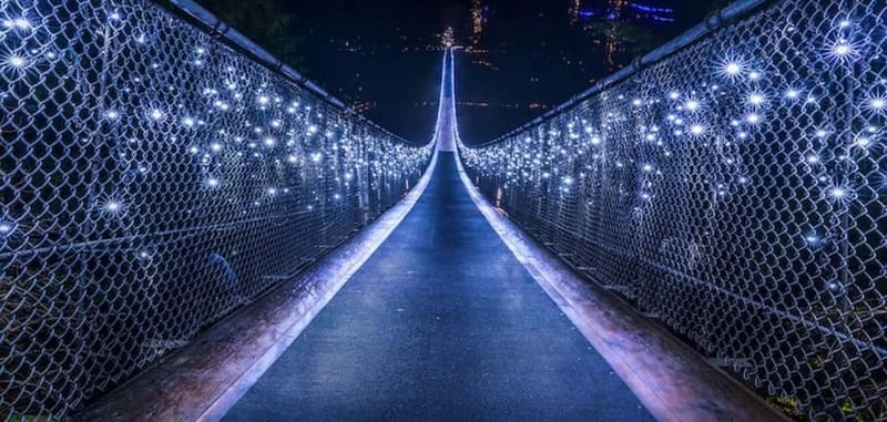 Vancouver: Attractions by Twilight Guided Tour with Dinner - The Skyride to Grouse Mountain