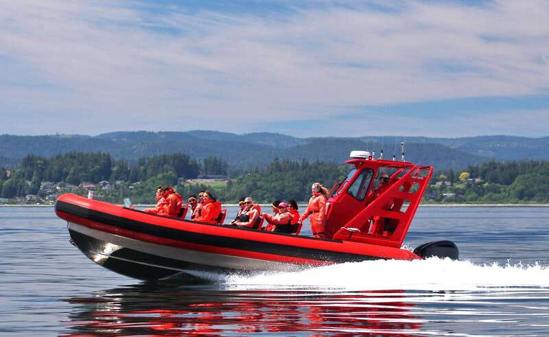 Vancouver, BC: Whale Watching Tour Small Zodiac with Guide - Key points to know before you book