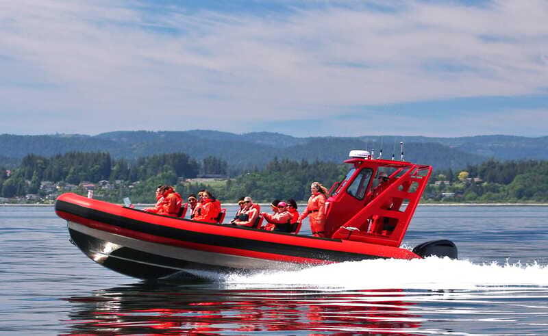 Vancouver, BC: Whale Watching Tour Small Zodiac with Guide - Who will enjoy this tour most?