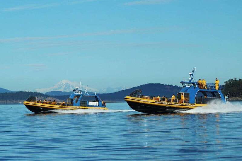 Vancouver, BC: Whale Watching Tour with Guide - The ride through the Gulf Islands