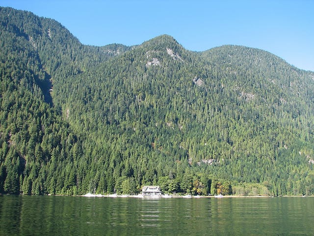 Vancouver Brunch Cruise - Wildlife, waterfalls, and the Indian Arm scenery