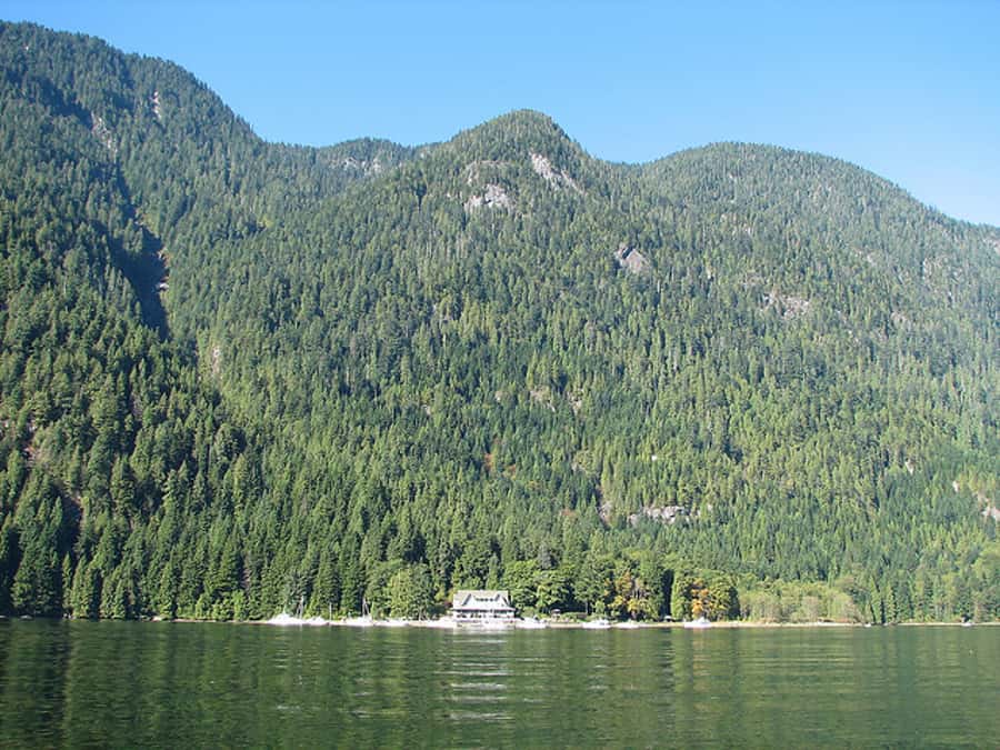 Vancouver Brunch Cruise - What the brunch is really like