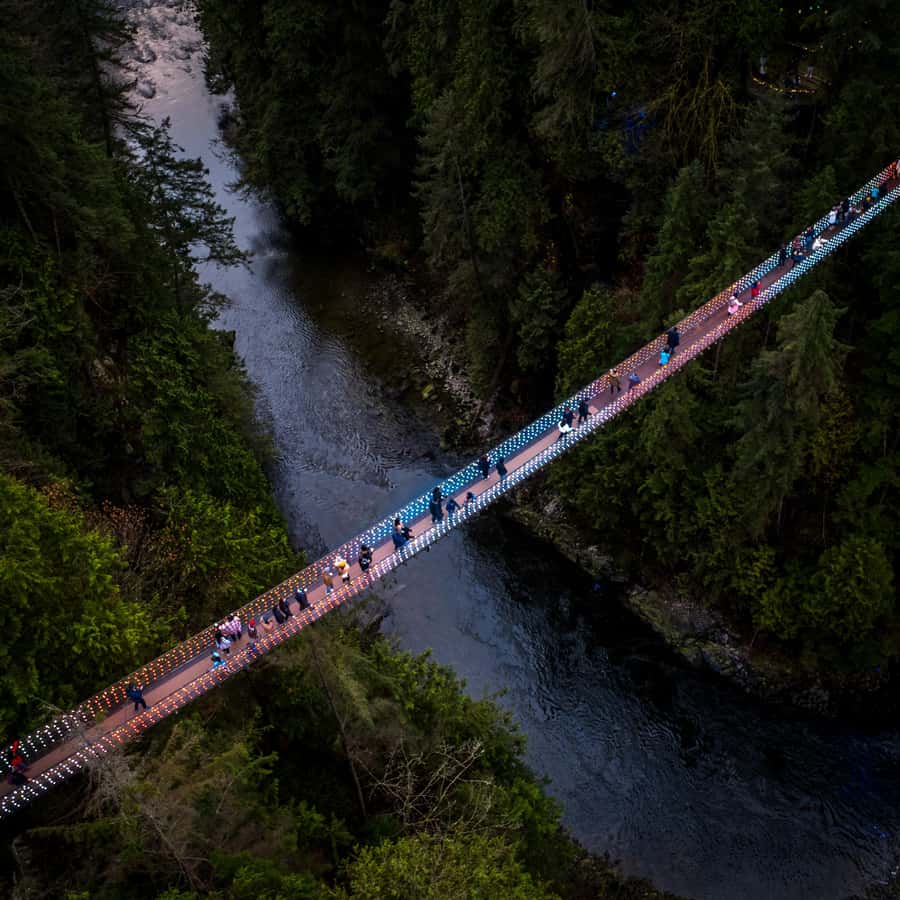 Vancouver: Capilano Bridge, Cleveland Dam & Lynn Canyon Tour - Key points to know before you book
