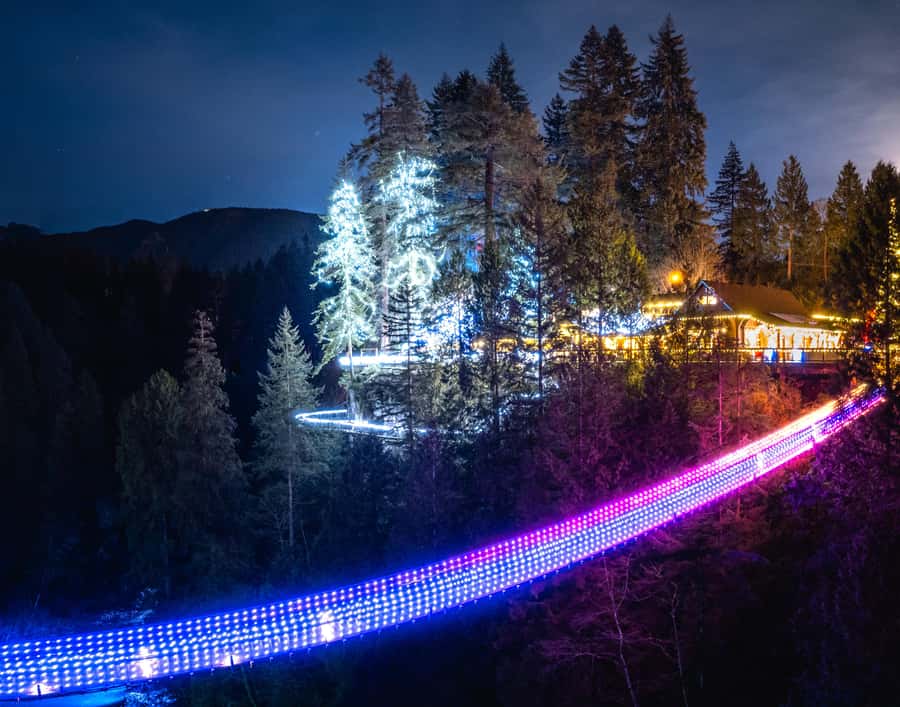 Vancouver: Capilano Bridge, Cleveland Dam & Lynn Canyon Tour - Why this North Shore route works so well